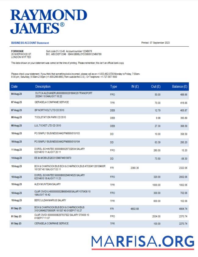 Blank Raymond James Bank organization statement Word and PDF template